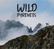 WILD PYRENEES