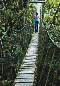 Parque das Neblinas (Parque das Neblinas)