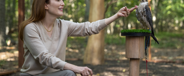Julianne Moore será homenageada com prêmio Women in Motion no Festival de Cannes