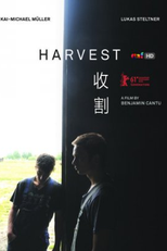 A Colheita (Harvest)