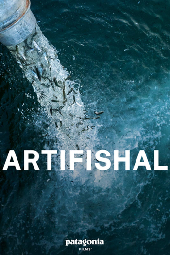  de Filme Artifishal (2019)