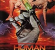 Human Error