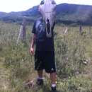 Foto de perfil de Walisson Ferreira