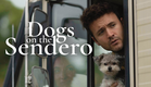 Dogs on The Sendero | Official Trailer