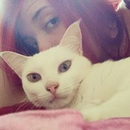 Foto de perfil de Larissa