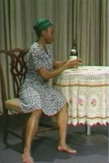 A Visual Diary (A Visual Diary)