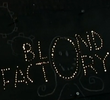 Blond Factory
