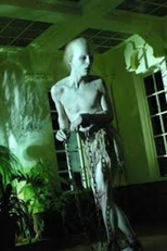 Ataúdes de Luz (Ataúdes de Luz)