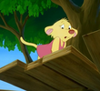 The Treehouse