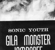 Sonic Youth ‎– Gila Monster Jamboree