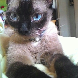 Foto de perfil de Claudia