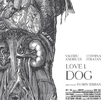 Dragoste 1: Câine