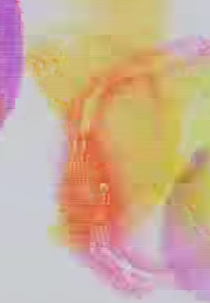 Rainbow Party on 70mm Film (Rainbow Party on 70mm Film)