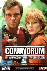 A Cilada Perfeita (Conundrum)