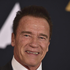 Outrider | Arnold Schwarzenegger irá produzir e estrelar série da Amazon