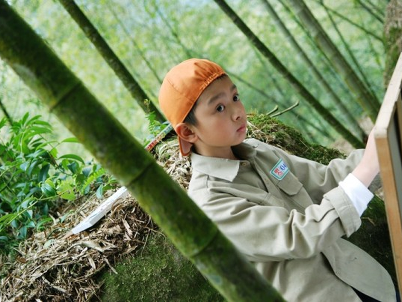 Foto 1 de Colorful Mind