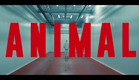 ANIMAL TRAILER - Dirigido por Armando Bo / Guillermo Francella - Carla Peterson.