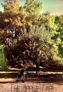 The Apple Tree (The Apple Tree)