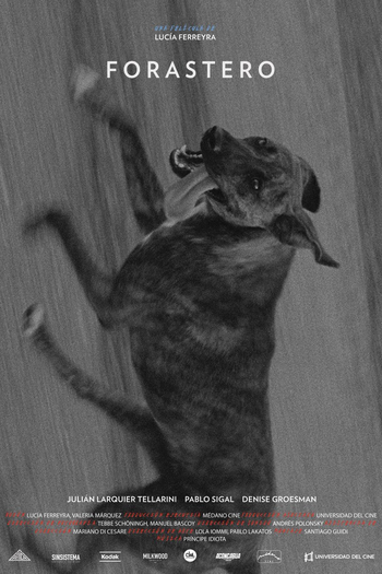 Poster de Filme Forastero (2015)