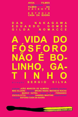 A Vida do Fósforo Não é Bolinho, Gatinho (A Vida do Fósforo Não é Bolinho, Gatinho)