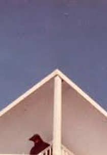 Alternatim (Alternatim)