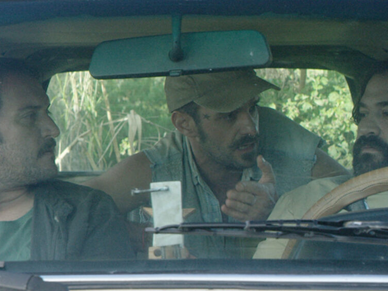 Foto 1 de Mateína: A Erva Perdida