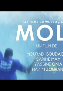Molii (Molii)