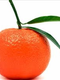 Tangerine Hinglia