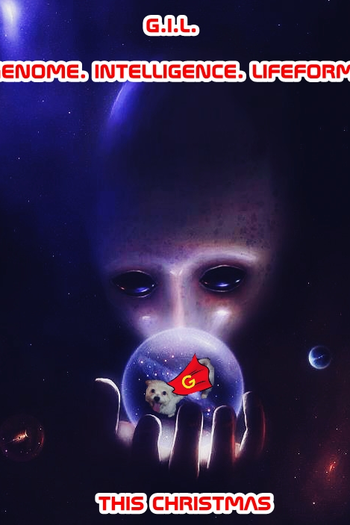  de Curta G.I.L. (2015)