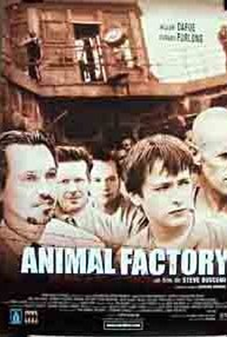 Poster 4 de Filme Fábrica de Animais (2000)