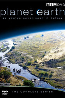 Planeta Terra (1ª Temporada) - Poster / Capa / Cartaz - Oficial 5