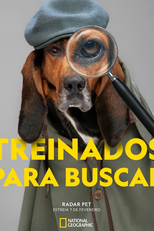 Radar Pet (Radar Pet)