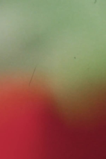 Light Licks: Pardes: Counting Flowers on the Wall (Light Licks: Pardes: Counting Flowers on the Wall)