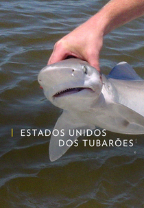 Estados Unidos dos Tubarões (Estados Unidos dos Tubarões)