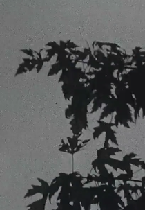 A função do filme (The function of film)