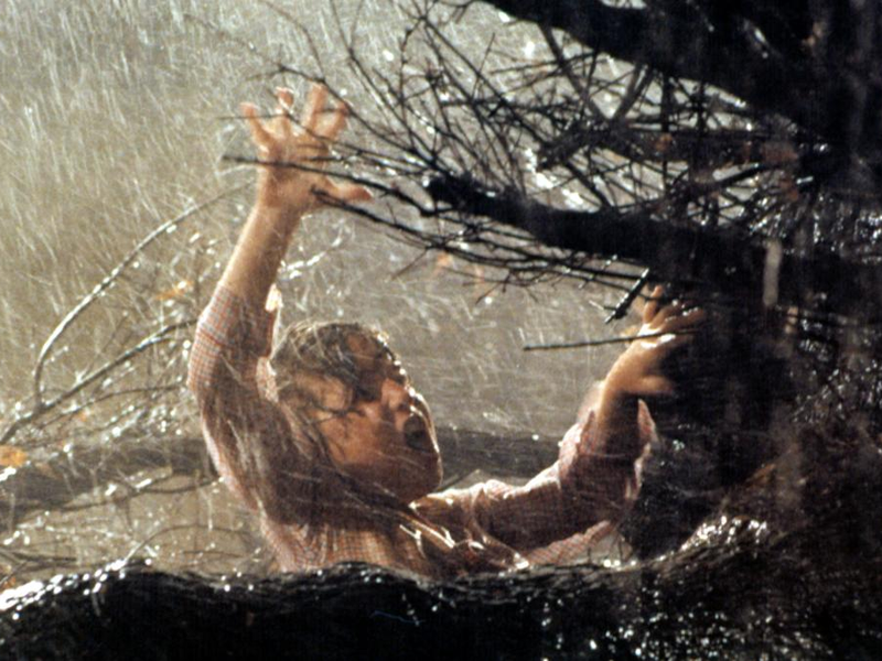 Foto 18 de Poltergeist: O Fenômeno