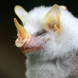 Foto de perfil de Eloihn