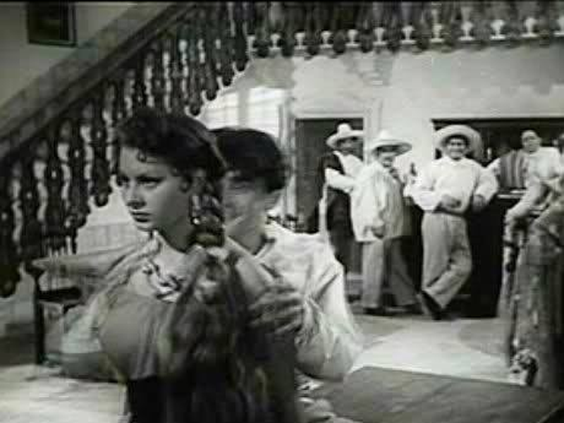 Foto 2 de O Sonho do Zorro