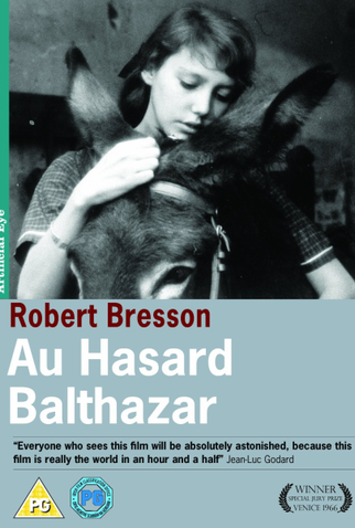 Poster 11 de Filme A Grande Testemunha (1966)