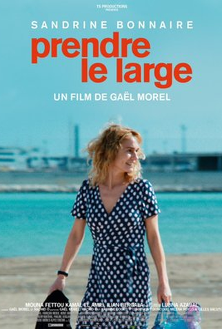 Poster 2 de Filme Seguindo o Vento (2017)