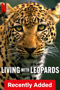 A Vida dos Leopardos - Poster / Capa / Cartaz - Oficial 4