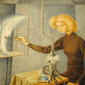 Foto de perfil de NaoSabiaOQColocar