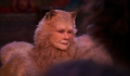 Judi Dench chama filme de Cats de desperdício de talento e boa vontade