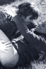 Nojo aos Cães (Nojo aos Cães)