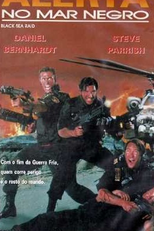 Alerta no Mar Negro (Black Sea Raid)