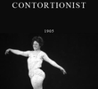 Latina, Contortionist