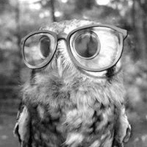 Foto de perfil de Camila