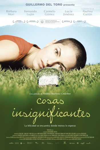 Poster de Filme Coisas Insignificantes (2008)