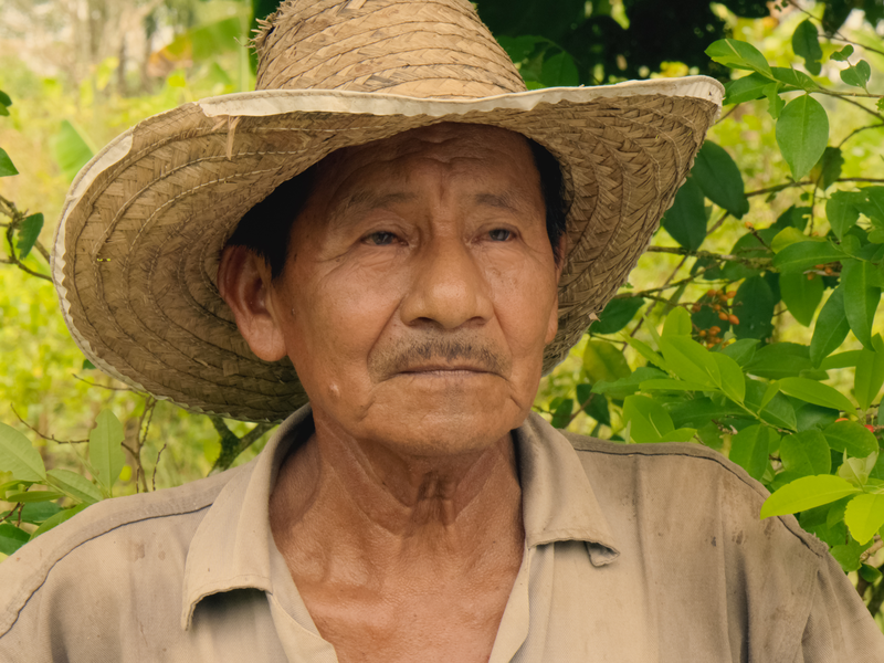 Foto 1 de Guerras Alheias