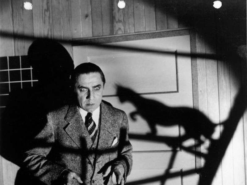 Foto 4 de O Gato Preto